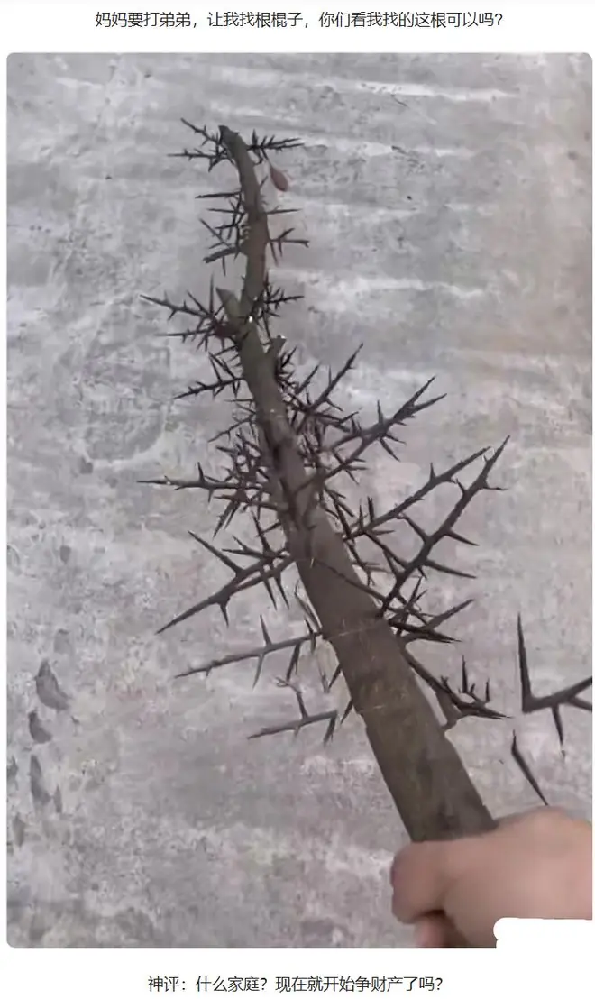 职场吐槽